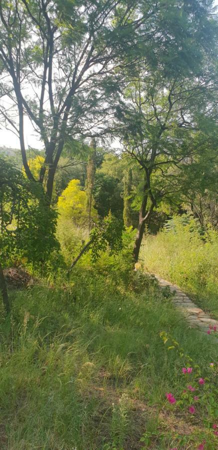 The Farm Apartment Hartbeespoort Luaran gambar